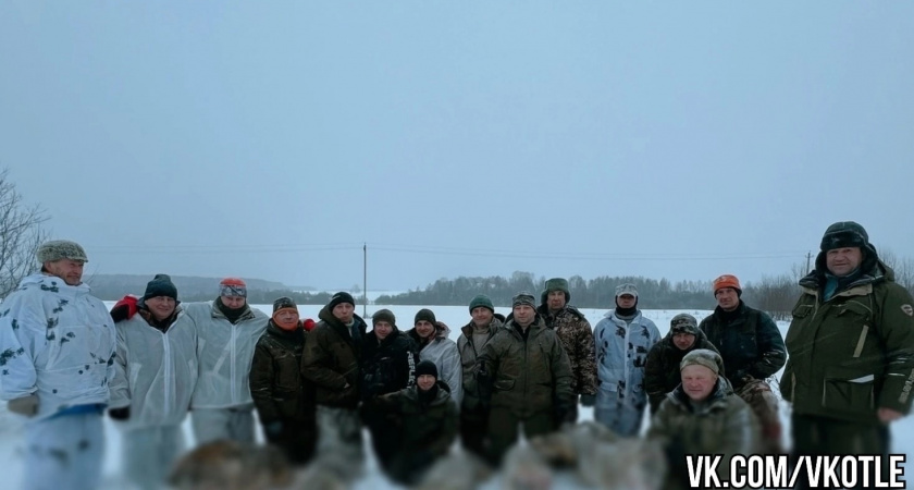 Охотники спасли жителей от стаи волков, которую обнаружили в километре от села Кировской области