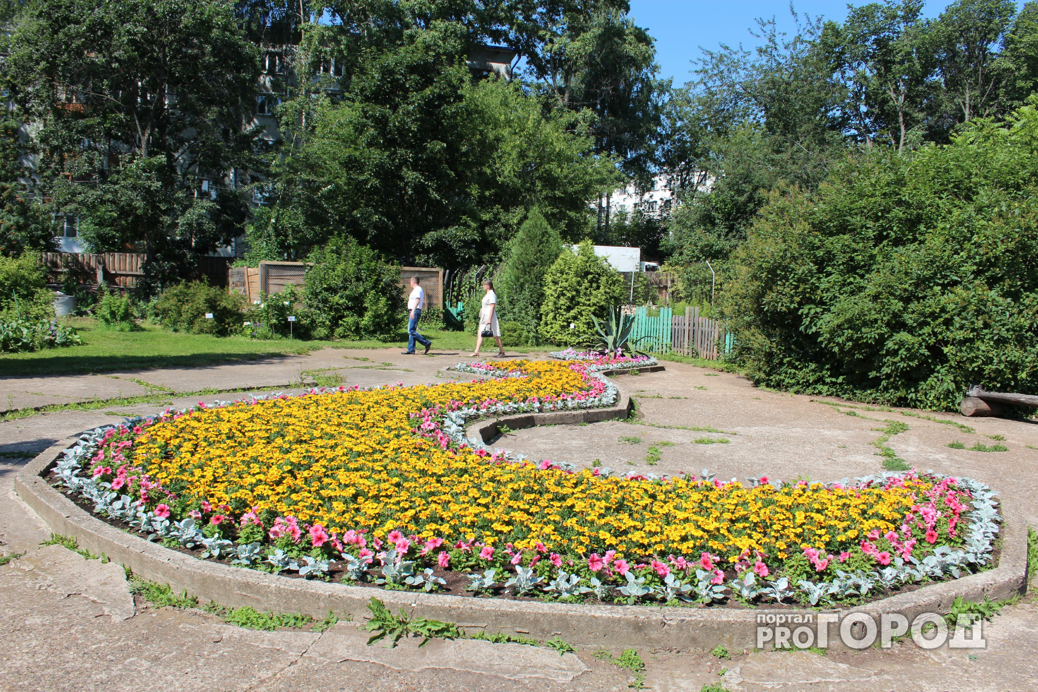 Ко Дню города в Кирове высадят 6 миллионов цветов