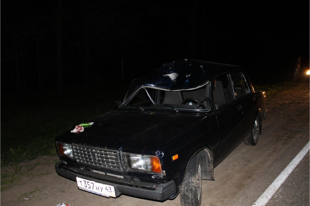 В Кировской области на трассе автомобиль сбил лося