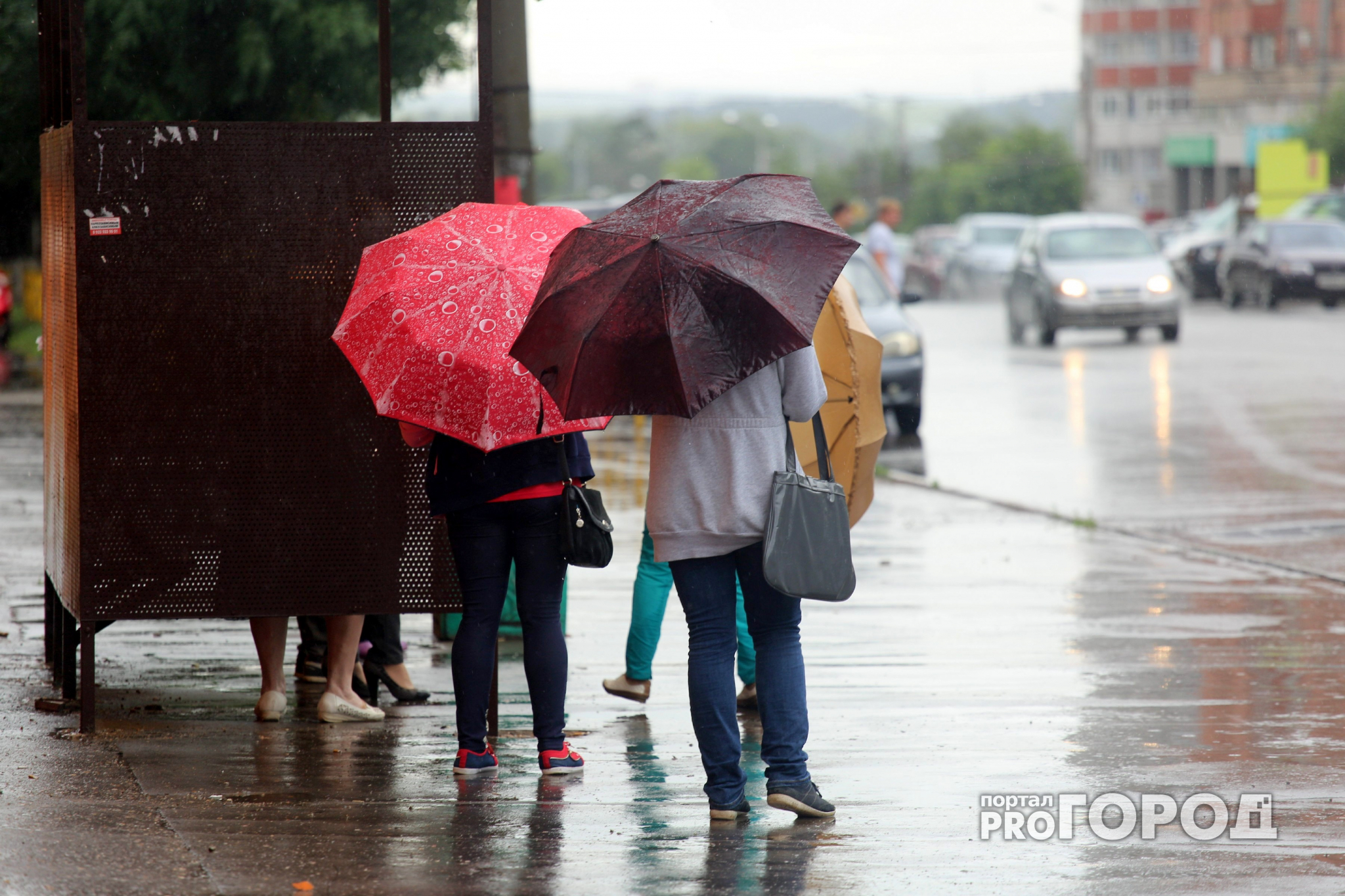 МЧС: в Кировской области пройдут сильные дожди