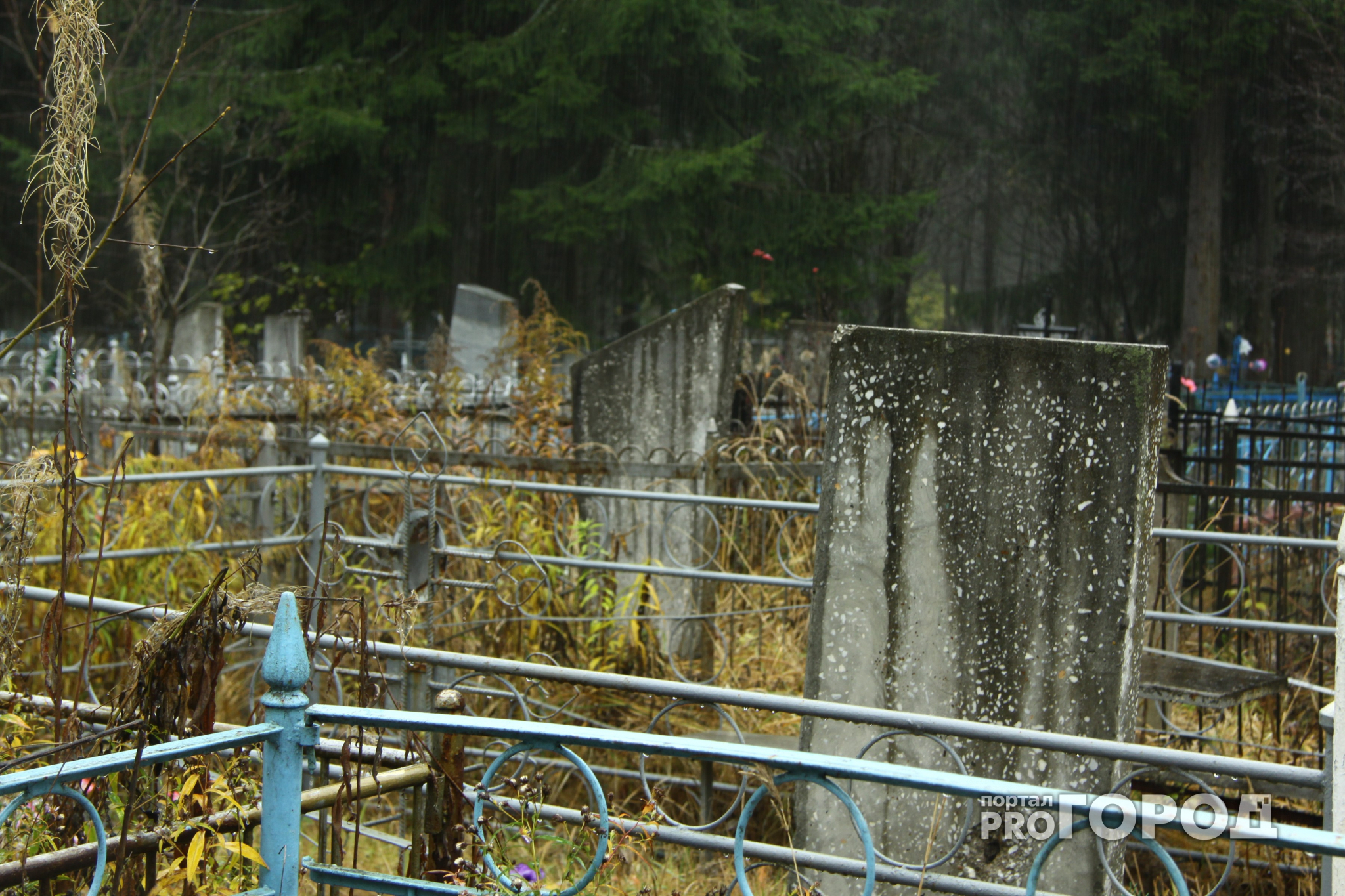 В Кировской области задержали парней, воровавших ограды с кладбищ