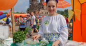 16 июля в Кирове пройдет презентация фестиваля "Истобенский огурец": программа мероприятия