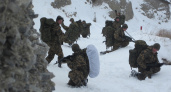 Кировским солдатам, отличившимся в зоне СВО, бесплатно выделят земельные участки