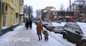 Мамы из Кировской области за 2023 год родили одну тройню и 88 двоен 