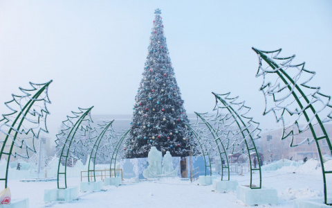 В Кирове открыли главную новогоднюю елку города