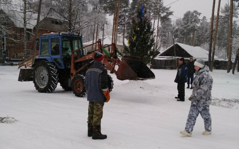 В Кирово-Чепецке поставили одну из самых маленьких новогодних елок