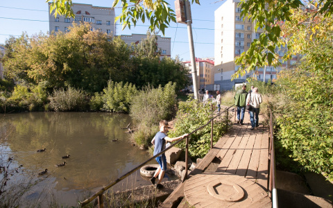 Жители Кирова могут выбрать название для нового сквера у реки Люльченки