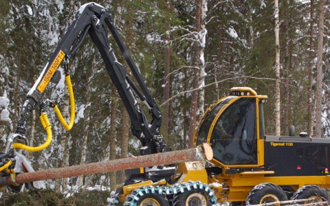 В Кировской области незаконную рубку леса будут отслеживать при помощи спутника