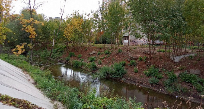 Для кировчан хотят создать новое место отдыха на берегу реки Хлыновки