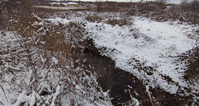 В Кировской области обнаружили загрязненную реку: специалисты взяли пробы воды