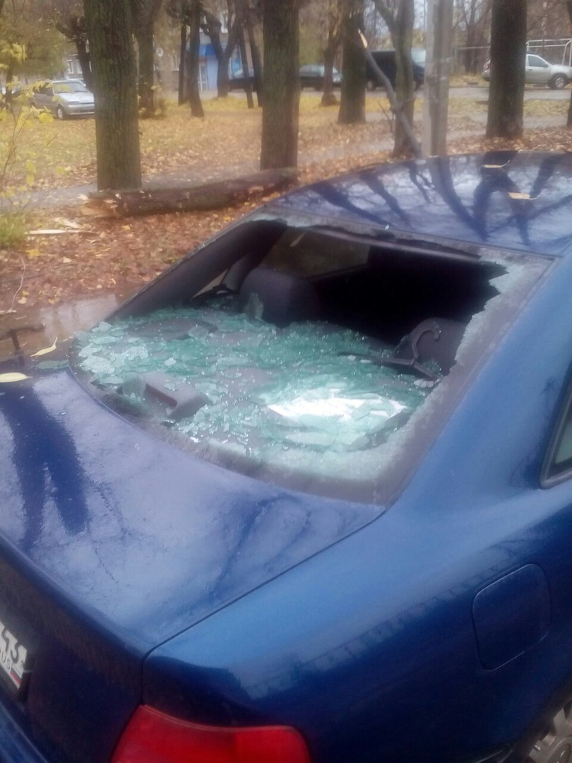 В Кирове упавшее дерево у школы разбило заднее стекло иномарки