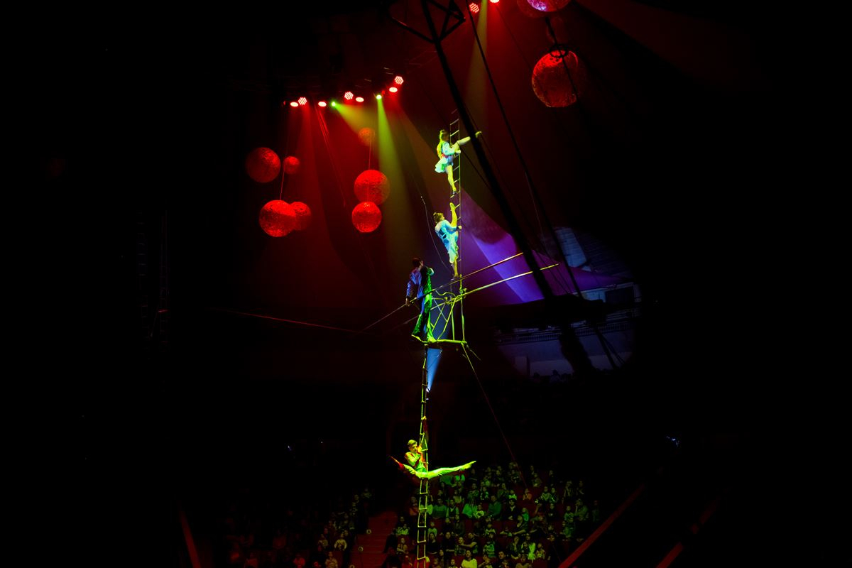 В Кирове покажут цирковое представление, которое в России еще не видел никто!