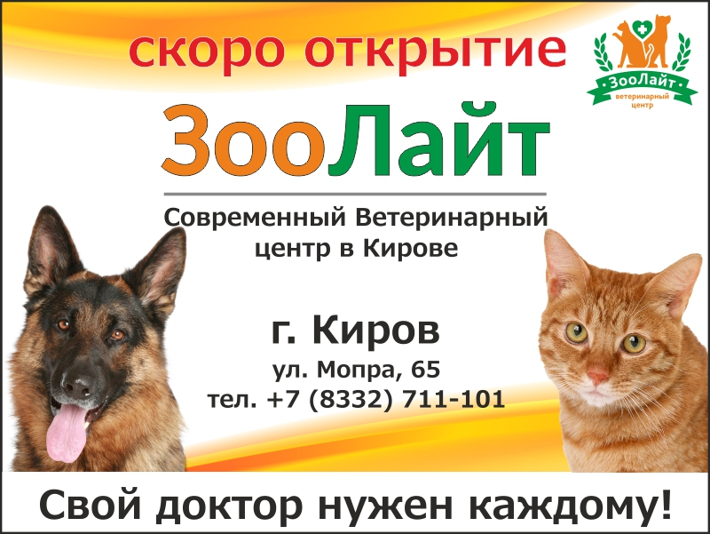 В Кирове откроется современный ветеринарный центр «Зоолайт»