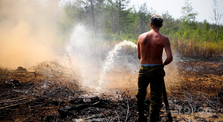 МЧС объявило о чрезвычайной опасности пожаров на юго-западе Кировской области