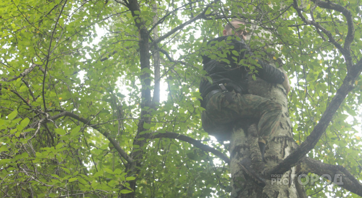 В Кировской области заблудившийся грибник забрался на дерево, чтобы вызвать полицию
