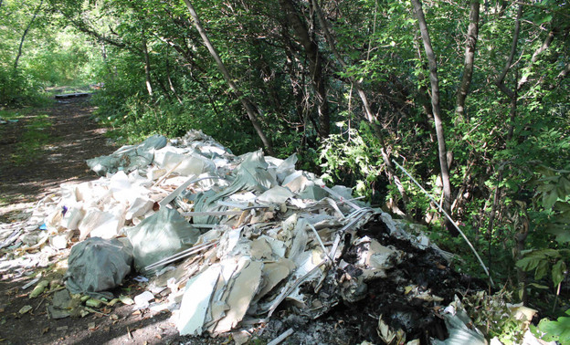 В Кирове заповедную зону для ленточного парка завалили мусором
