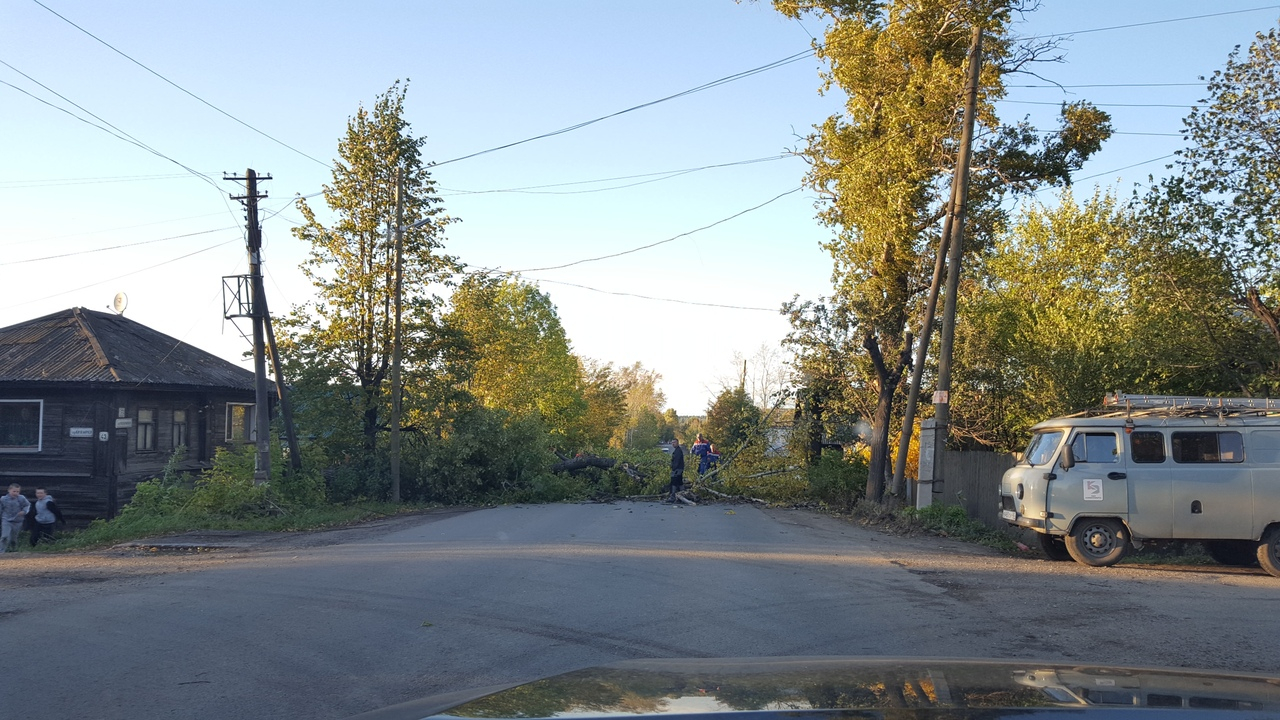 Сломанные деревья и крыши остановок: последствия сильного ветра в Кировской области