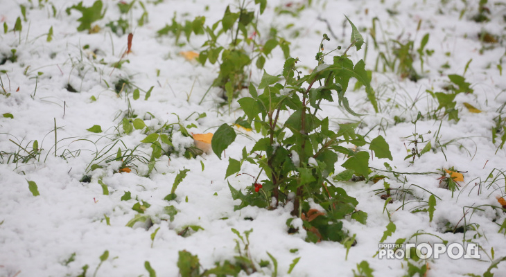 Прогноз погоды: синоптики прогнозируют в Кирове снегопад