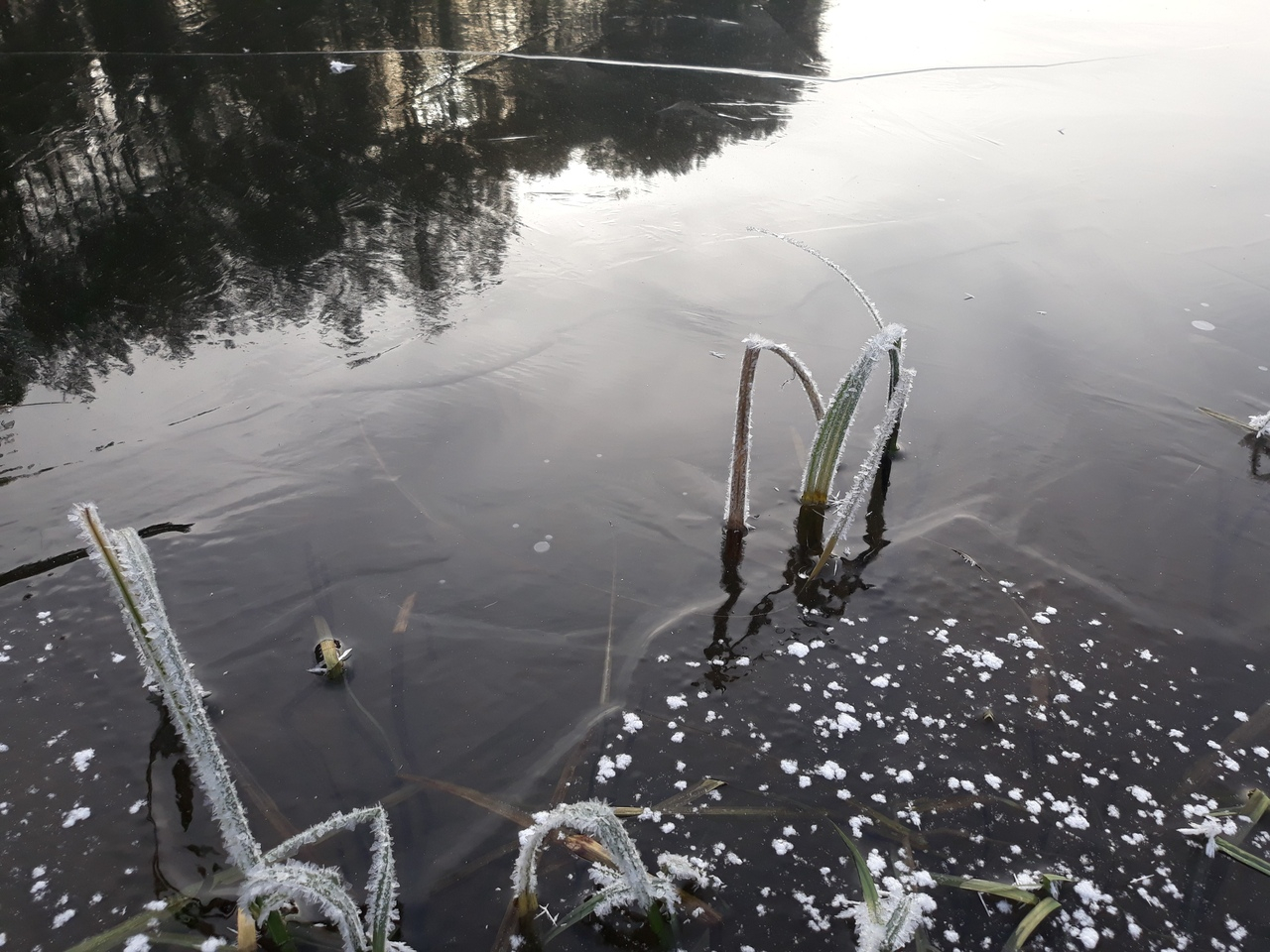 В Кирове зафиксировали редкое явление: замерзшее озеро без снега