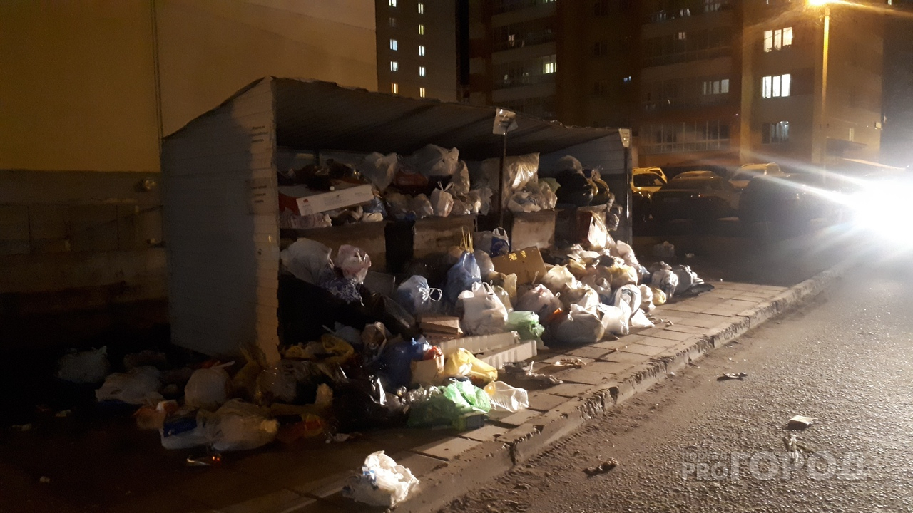 Власти подтвердили, что Киров на грани мусорного коллапса