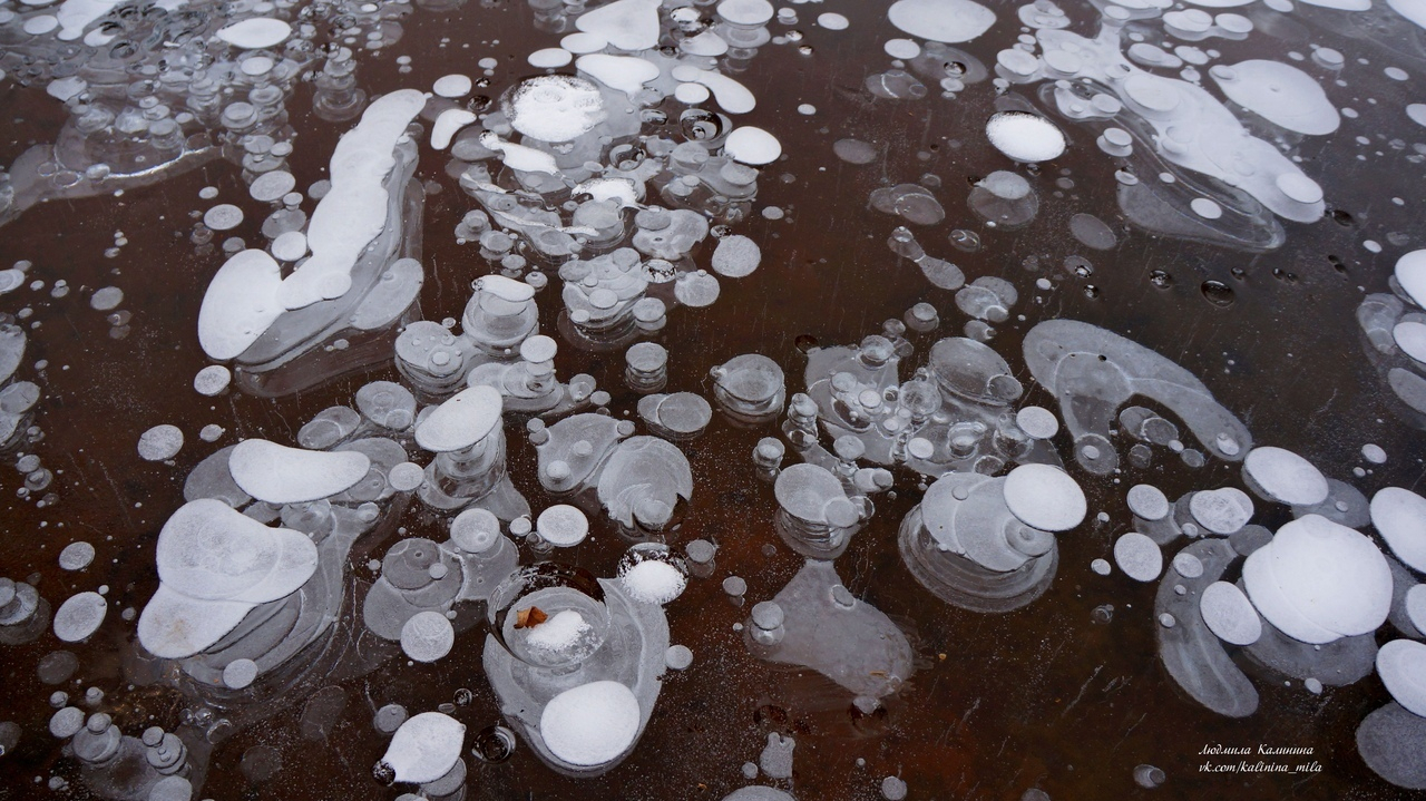 Фоторепортаж из соцсетей: прозрачный лед на озерах в Кировской области