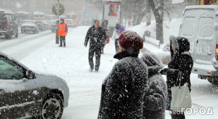 Комфортная зима и поздняя весна: предварительный обзор погоды на 2019 год в Кирове