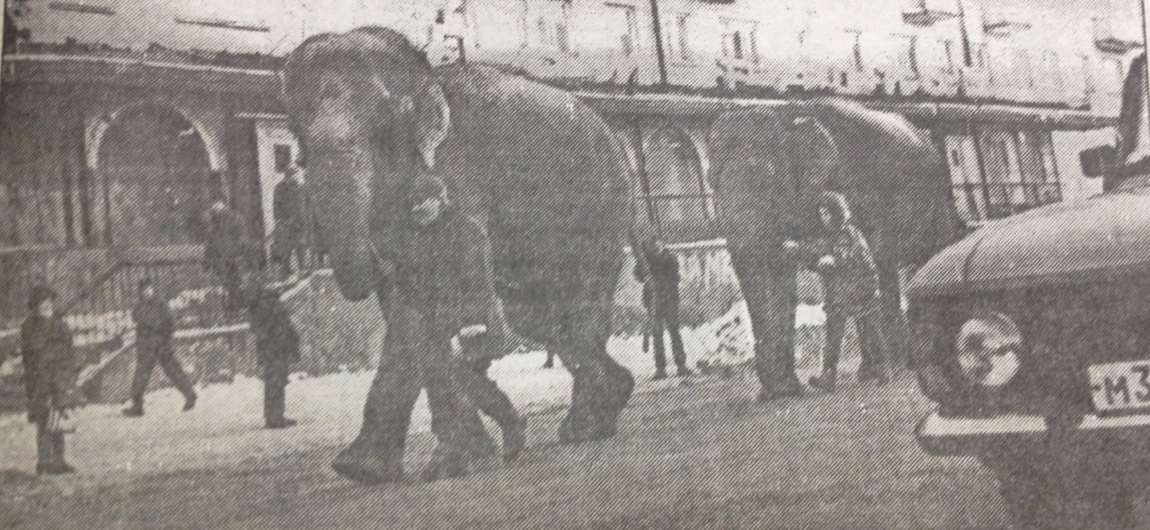 О чем писали газеты 20 лет назад: юбилей губернатора и шествие слонов по Октябрьскому проспекту