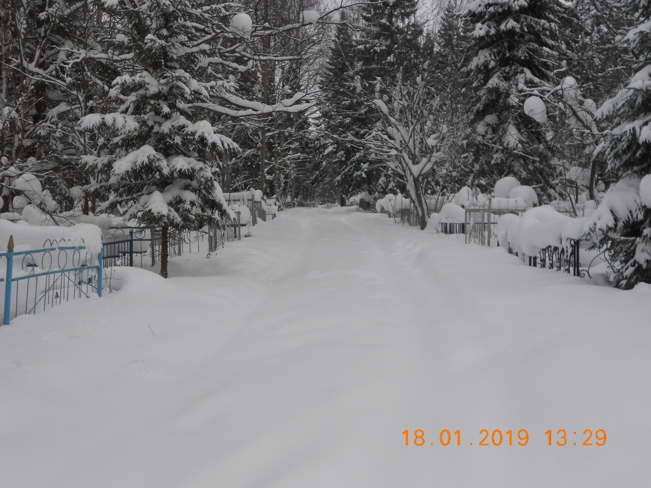После снегопадов в Кировской области на кладбищах перевозят гробы на санках