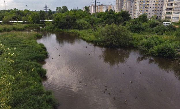Кировчане смогут заработать 25 тысяч рублей за лучший проект сквера у Люльченки