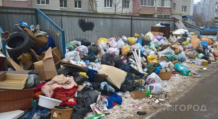 Кировское УФАС предписало отменить принятые нормативы накопления мусора до конца марта