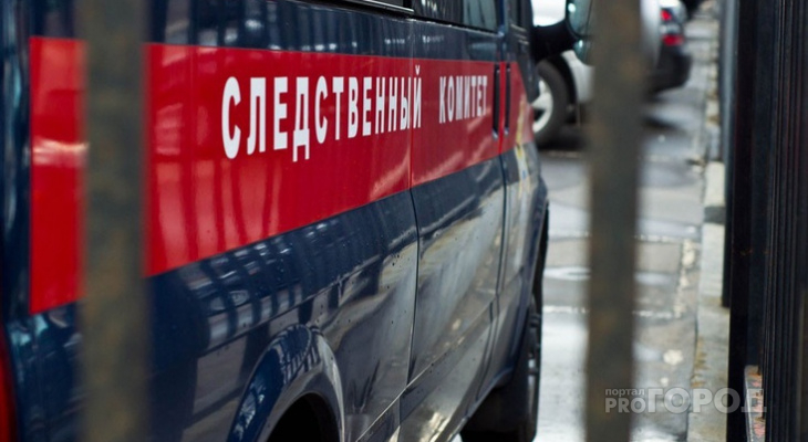СК России проведет проверку по нескольким фактам бездействия кировской полиции
