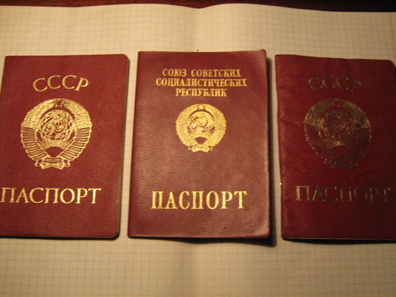 Появились мошенники, которые предлагают кировчанам получить гражданство СССР