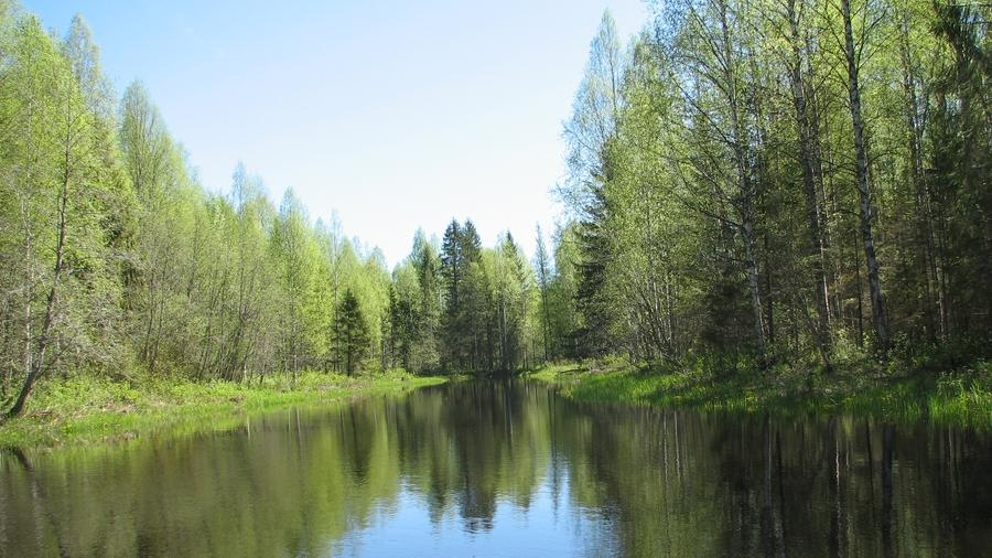 В Кировской области создадут национальный парк «Вятка»