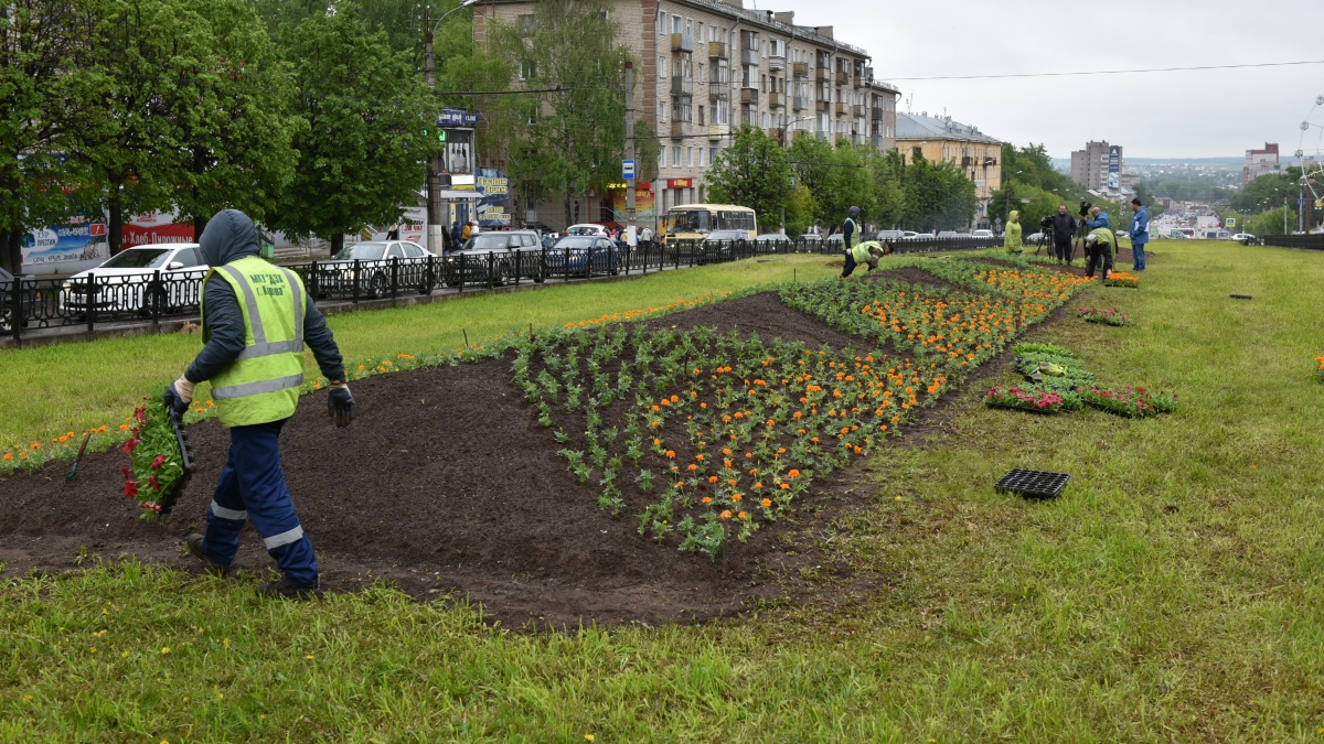 В администрации Кирова рассказали, сколько миллионов потратят на цветы для клумб