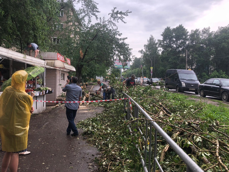 Известно состояние пешехода, на которого упало дерево во время урагана в Кирове