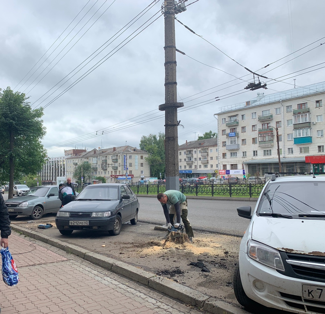 Фото дня: на Октябрьском проспекте в Кирове спиливают деревья для парковки