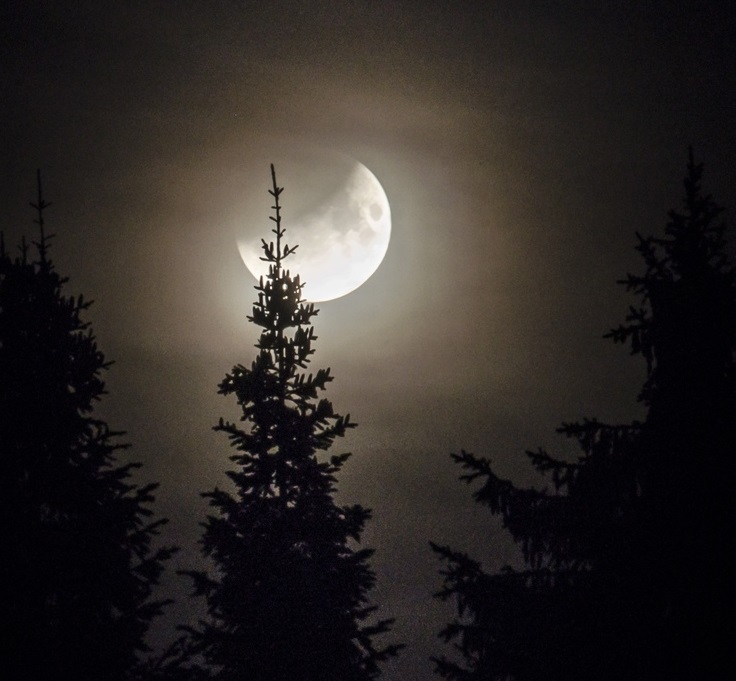 10 ярких фото лунного затмения в Кировской области