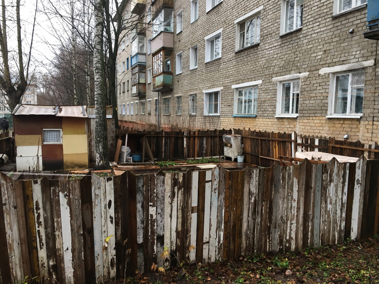 «Это захват территории?»: пенсионерка сделала сад у пятиэтажки на Сурикова