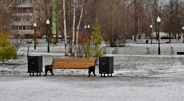 Лужи в январе: в Кирове побит 100-летний температурный рекорд