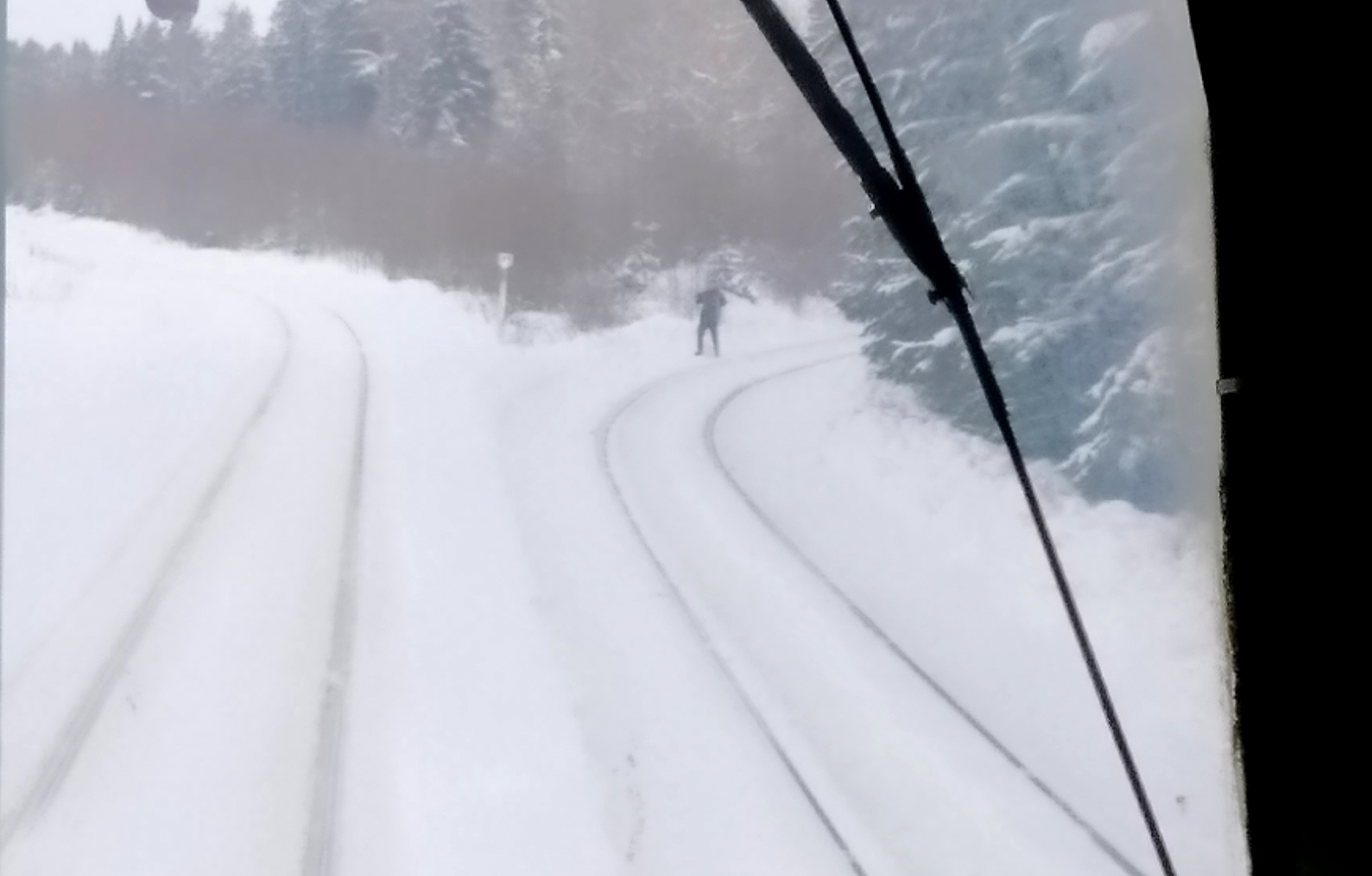 В Кирове пришлось экстренно останавливать поезд из-за лыжников