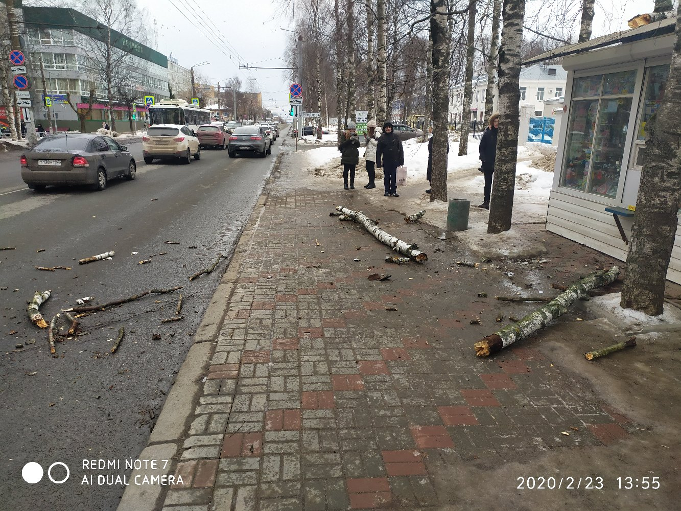 "Чуть людей не прибило": на остановку на Воровского упало дерево