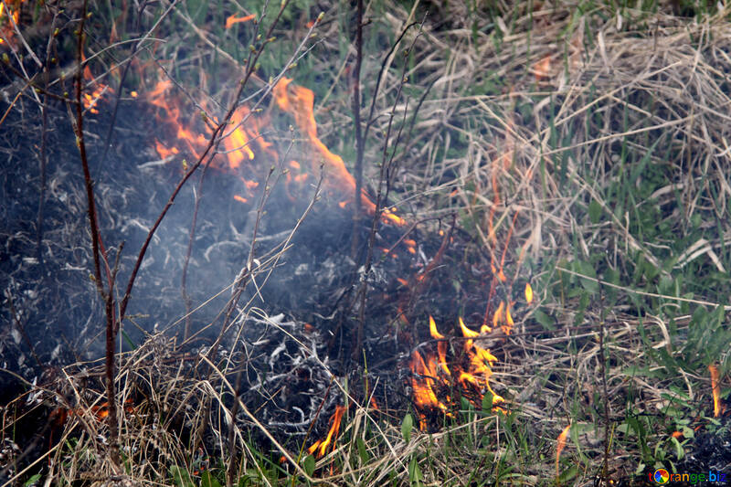 Пожар на 1000 квадратных метров: в Кировской области впервые в сезоне загорелась трава