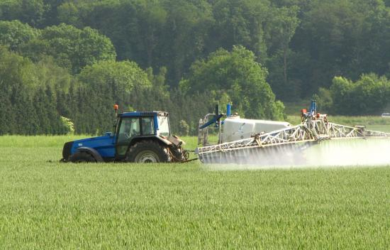 Опасные пестициды: выяснили, где в Кировской области пройдет химическая обработка полей