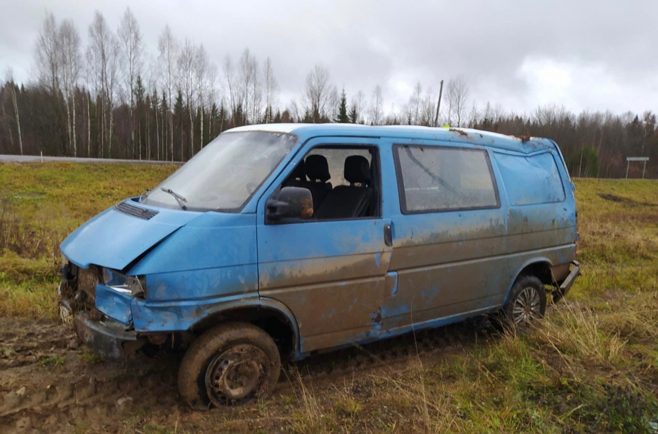 Что обсуждают в Кирове: погибший подросток-водитель и волки в поселке