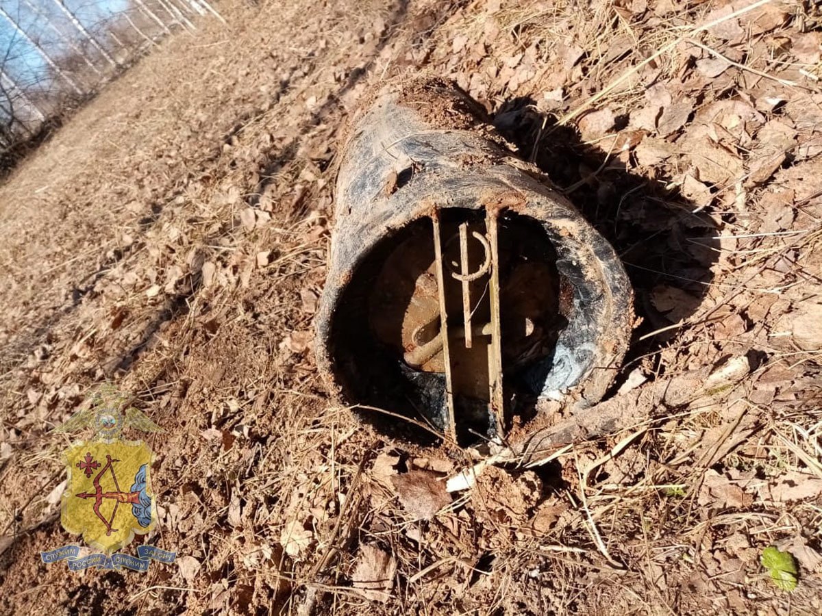 В Кировской области в лесу обнаружили необычную находку