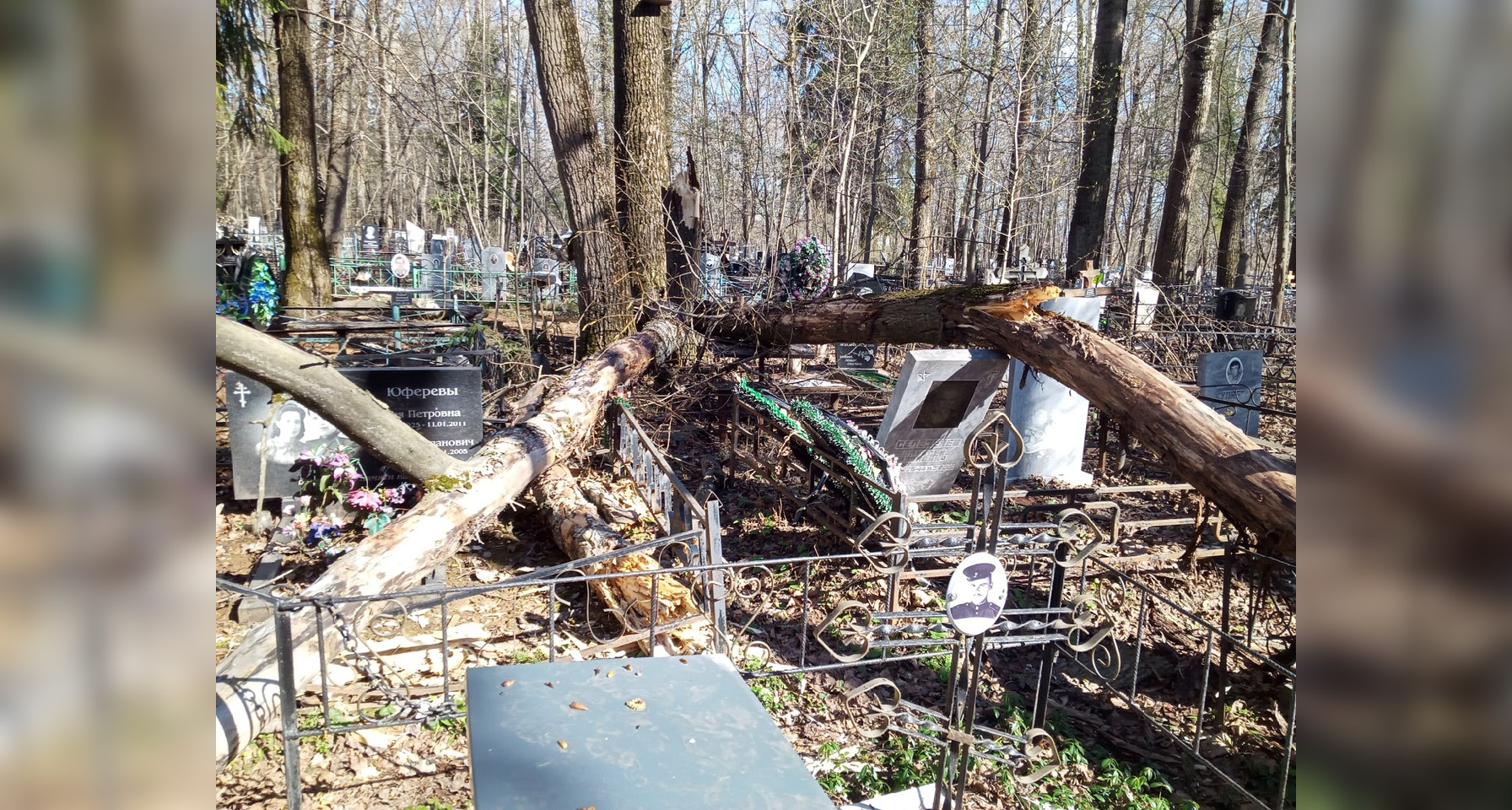 На кладбище в Кирове поваленные деревья сломали надгробия