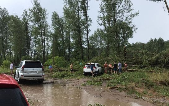 В Кировской области десятки машин оказались в западне из поваленных деревьев