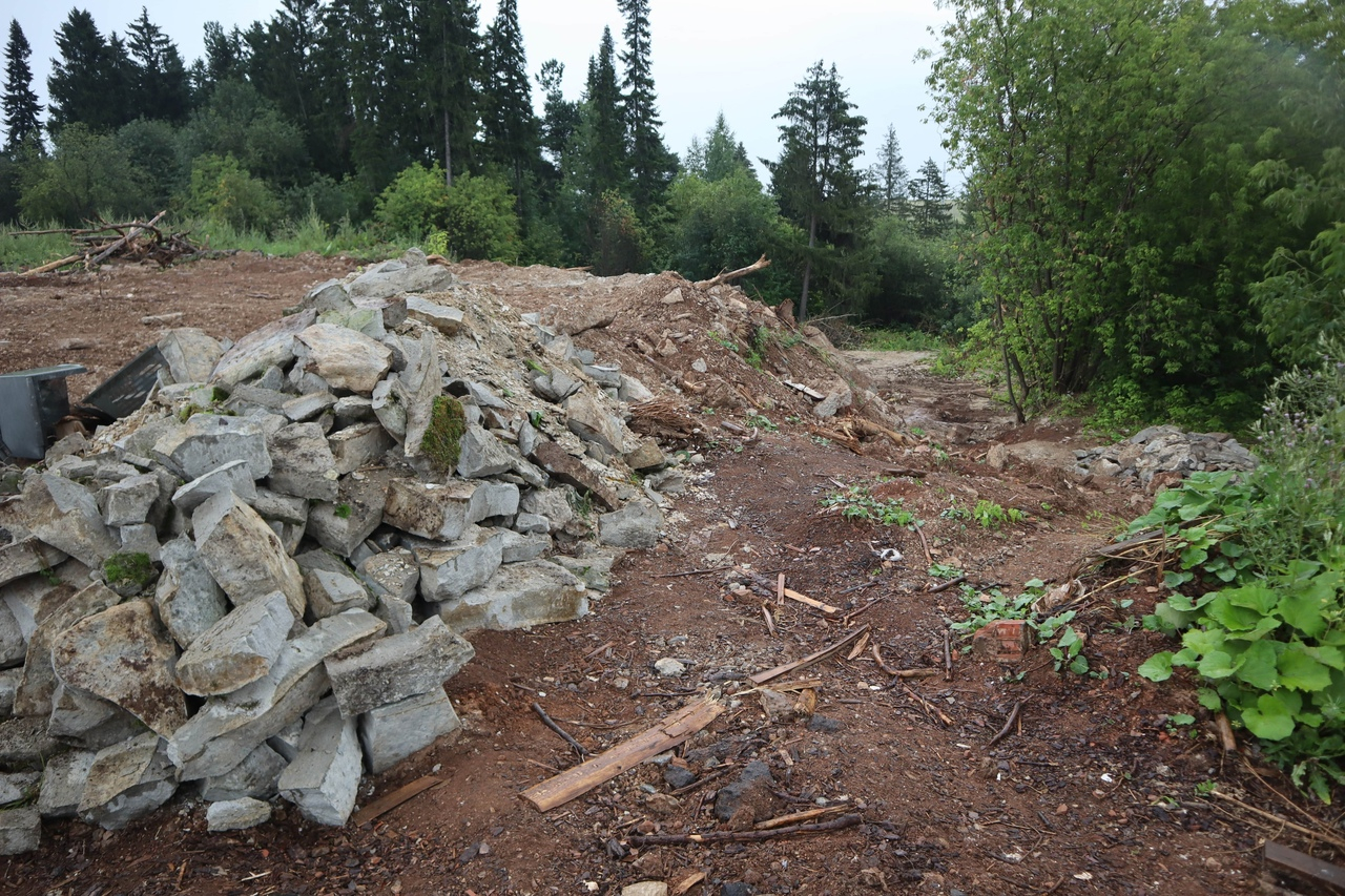 В Кирове начали восстанавливать лес, который был залит бетоном