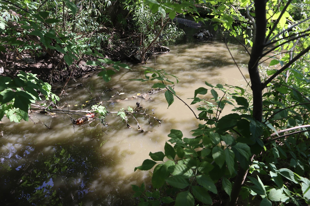 «Вода грязная, пахнет и пенится»: кировчане жалуются на состояние воды в Хлыновке