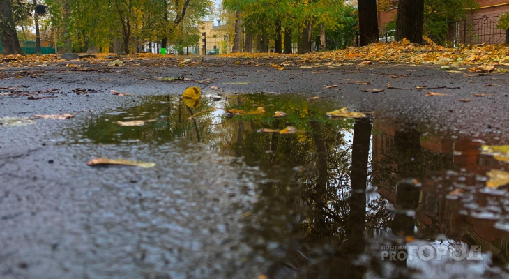 Придет ли в Кировскую область тепло: прогноз погоды на сентябрь